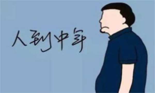 中年人是什么美（中年人是什么样的）