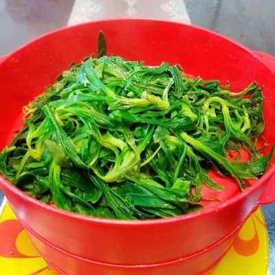 菇扎头怎么做好吃（菇扎头怎么做好吃又简单）