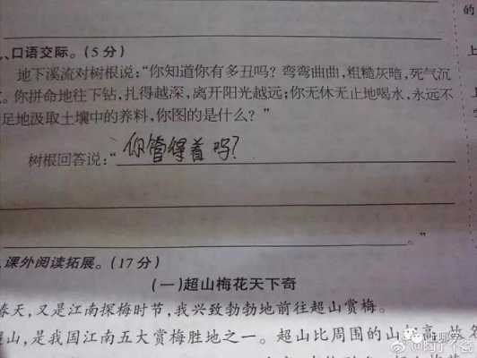 脸什么什么（妈妈的脸笑得像什么?把句子补充完整）