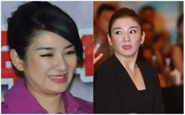 什么脸是胖脸（为什么豪门女主角都是胖脸）