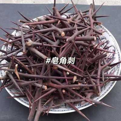 洗发水怎么制作方法（怎么自制DIY洗发水）