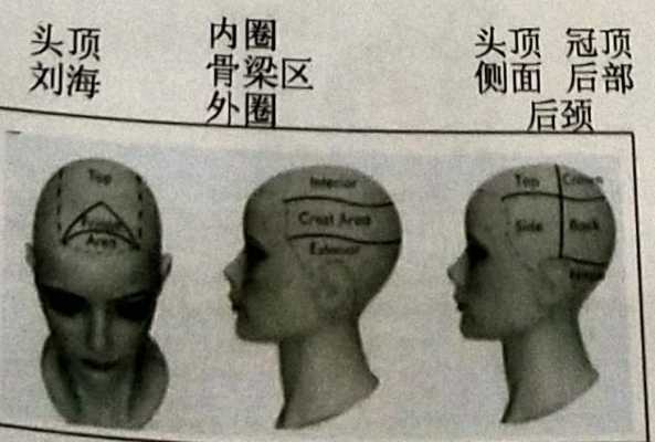 头发分区五个区怎么分（头发分区五个区怎么分因片）