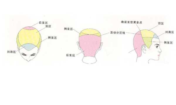 头发分区五个区怎么分（头发分区五个区怎么分因片）