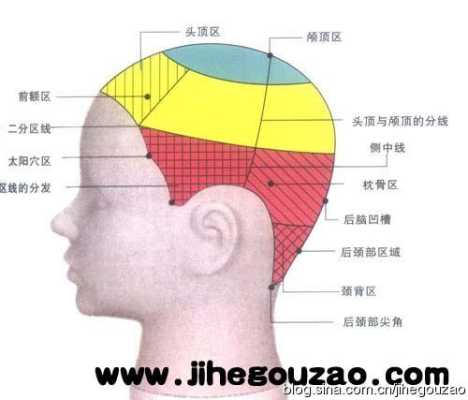 头发分区五个区怎么分（头发分区五个区怎么分因片）