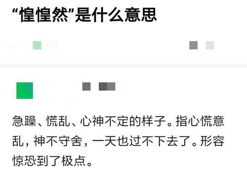“惶惶然”是什么意思,然什么然什么的成语有哪些