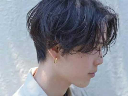 硬头发什么发型（硬头发什么发型好看）