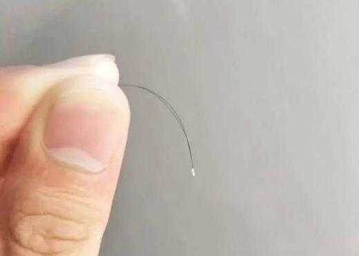怎么收集掉下来的头发（怎么收集掉下来的头发图片）