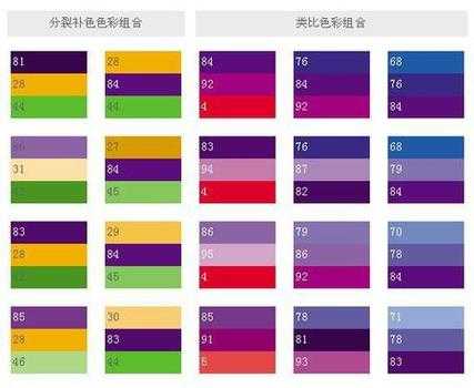 紫色和什么颜色搭配比较好,紫色与什么颜色搭配好看
