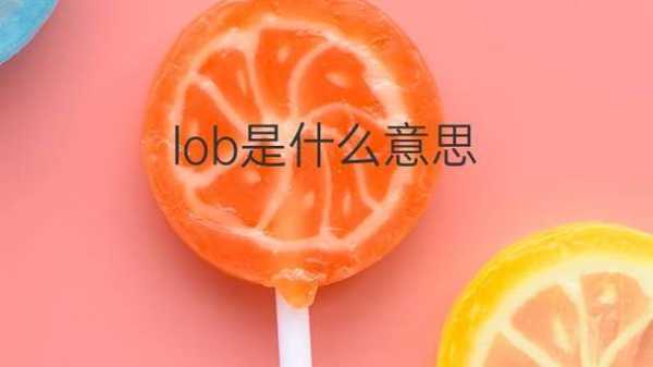 lob么什么（lob是什么）