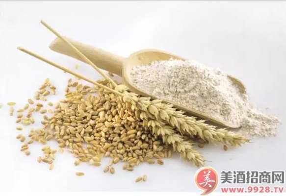 什么色泽（什么色泽的小麦适合用来制曲）