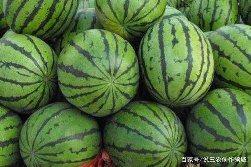 西瓜什么是头（为什么西瓜前面头小的甜）